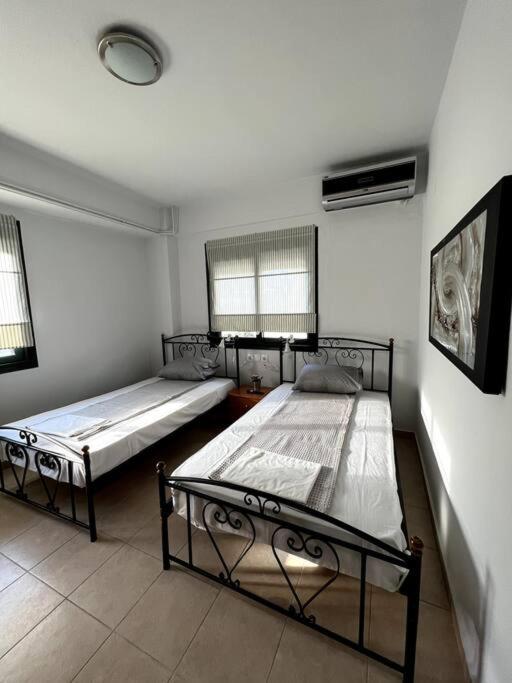 Olympus And Sea View Apartment 帕拉塔蒙 外观 照片